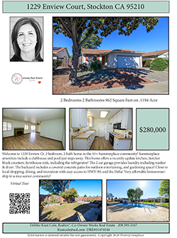 Enview Flyer Download