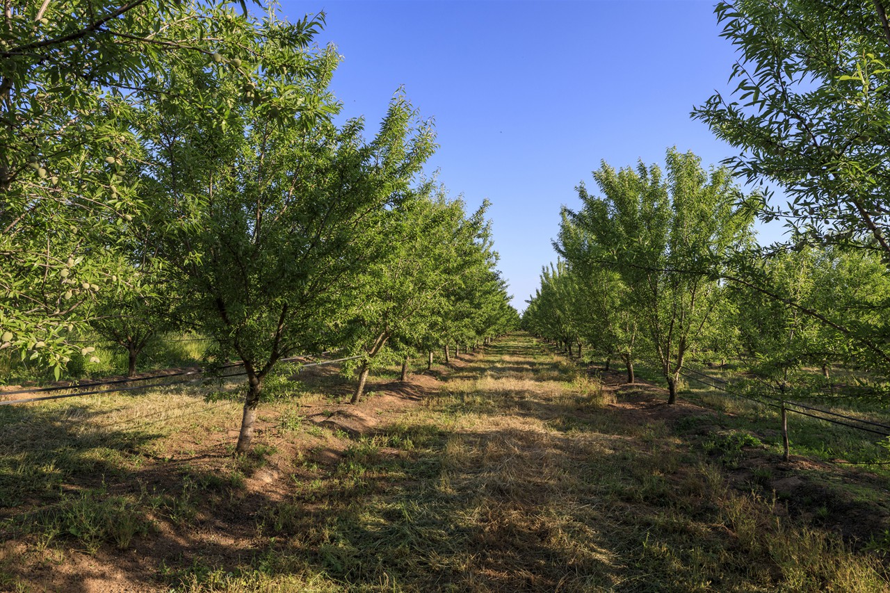 10800 East Monte Vista Avenue, Denair 95316