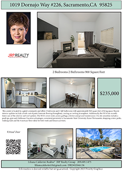 Dornajo Flyer Download